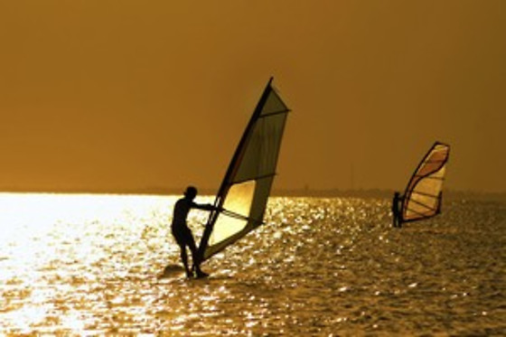 Wave School - photo 21