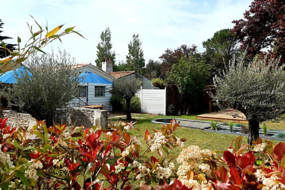 Restaurant La Maison Saint Martin de Ré - photo 8