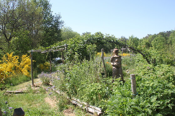 Au Jardin d'Ariane - photo 14