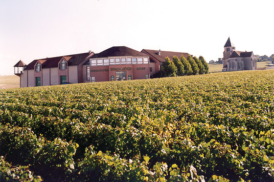 Dégustation pour 2 au domaine Jean-Marc Brocard à Prehy (89)