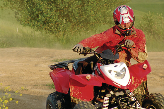 CENTRO DE OCIO Y AVENTURA ZAMARRILLA - photo 7