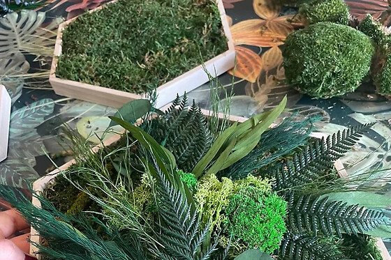 Funbooker - photo 1