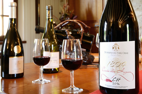 Domaine du Vieil Orme - photo 6