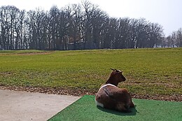 Golf des sarrays