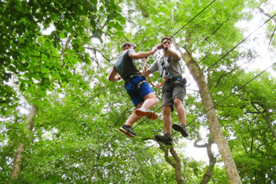 Jumping forest - photo 1