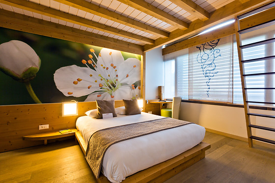 La Croix de Savoie & Spa - photo 1