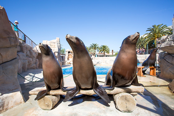 Marineland Hôtel - photo 0