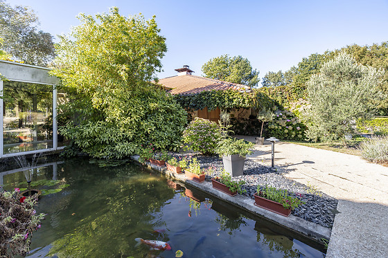 Repas pour 2 aux Jardins du Lac à Trizay (17)