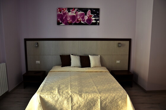 Florence Room - photo 4