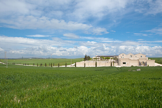 Tenuta Danesi - photo 4