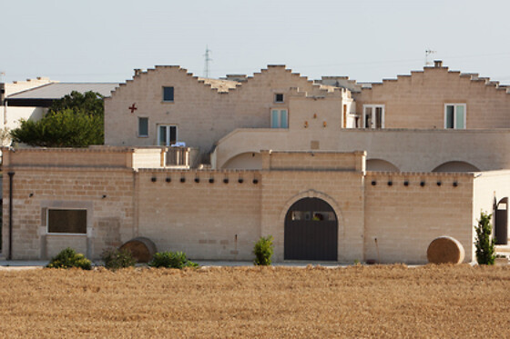 Tenuta Danesi - photo 5