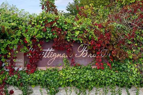 Domaine de Quittignan Brillette - photo 11