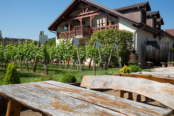 Domaine Pierre Adam - photo 0