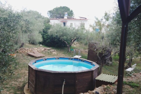 ECOTURISMO VILLAFELICHE - photo 23