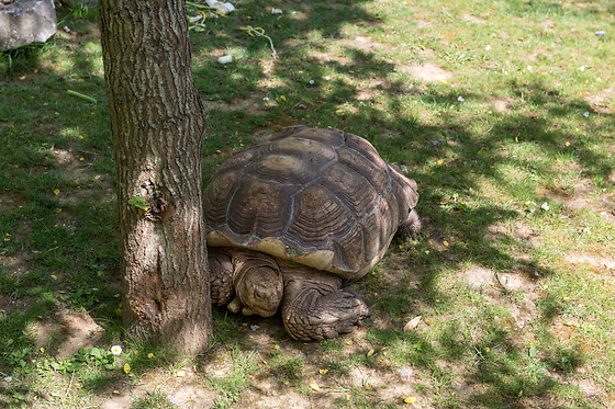 Parc zoologique de Maubeuge - photo 15