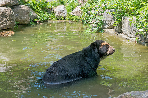 Parc zoologique de Maubeuge - photo 17