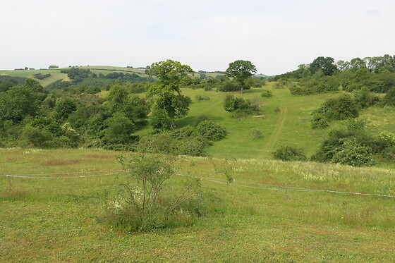 La Grande Savane - photo 5