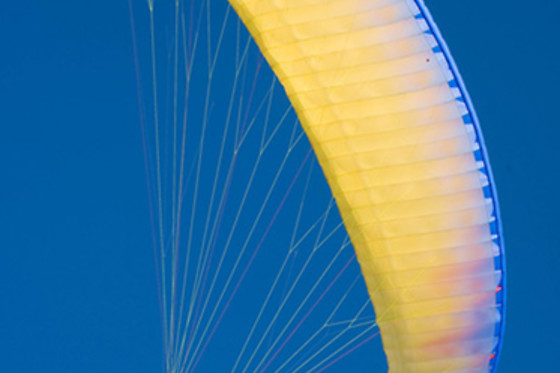 Les Volatiles - photo 1