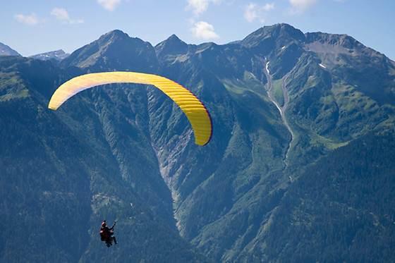 Les Volatiles - photo 0