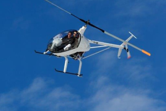 Les Volatiles - photo 9