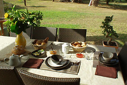 Bastide des Eucalyptus