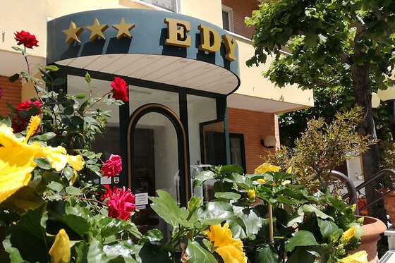 Eco Hotel Edy - photo 8