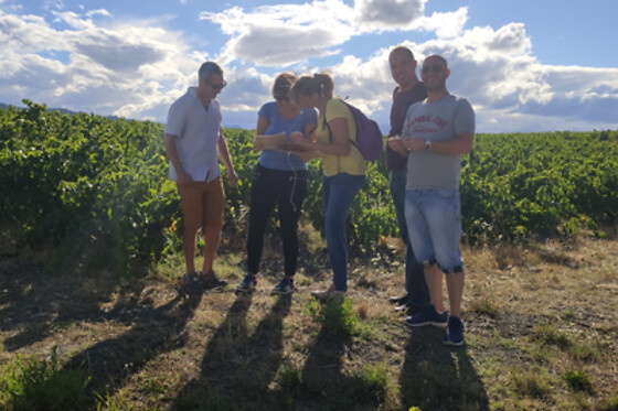 Vino Enigma - photo 5
