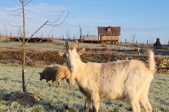 Domaine de Tallat - photo 21