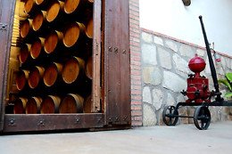 BODEGA CAMPOS DE DULCINEA