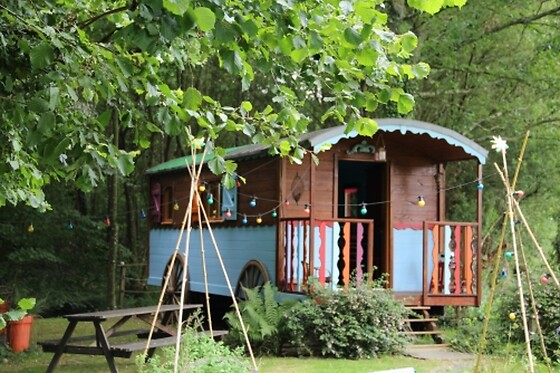 La Chaussée d'Olivet - photo 1