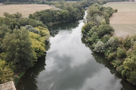 Drone In Tarn - photo 2