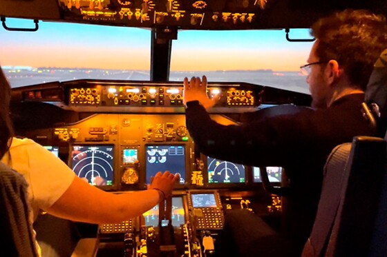 Dream Flight Simulator - photo 6