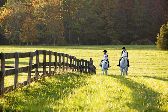 Centre Equestre les Onglous - photo 4