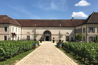 Dégustation à 2 au Domaine Famille Picard à Chassagne-Montrachet (21)