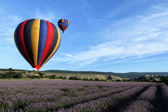 Funbooker - photo 1