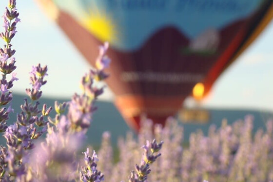 Funbooker - photo 0