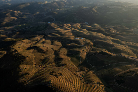 QUINTA DO PRADO - ACUSHLA - photo 11