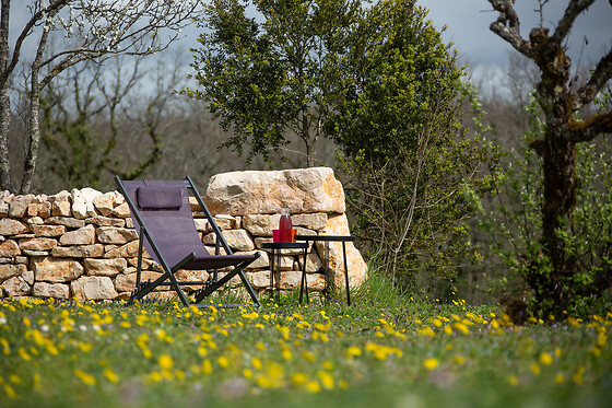 Domaine de Bel-Air - photo 18