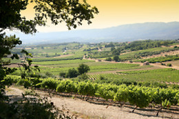 Vignerons du Mont Ventoux