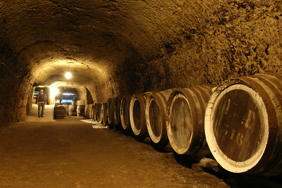 Les Caves Ambacia - photo 2
