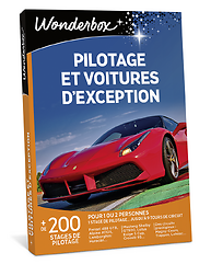Pilotage et voitures d'exception