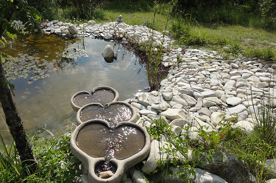 Oasis de Bellecombe - photo 3