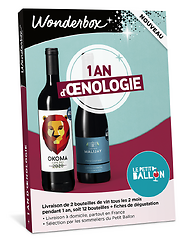 1 an d'œnologie