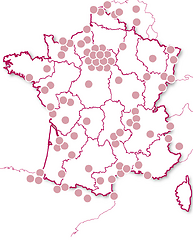 INSOLITE - Découvertes gourmandes