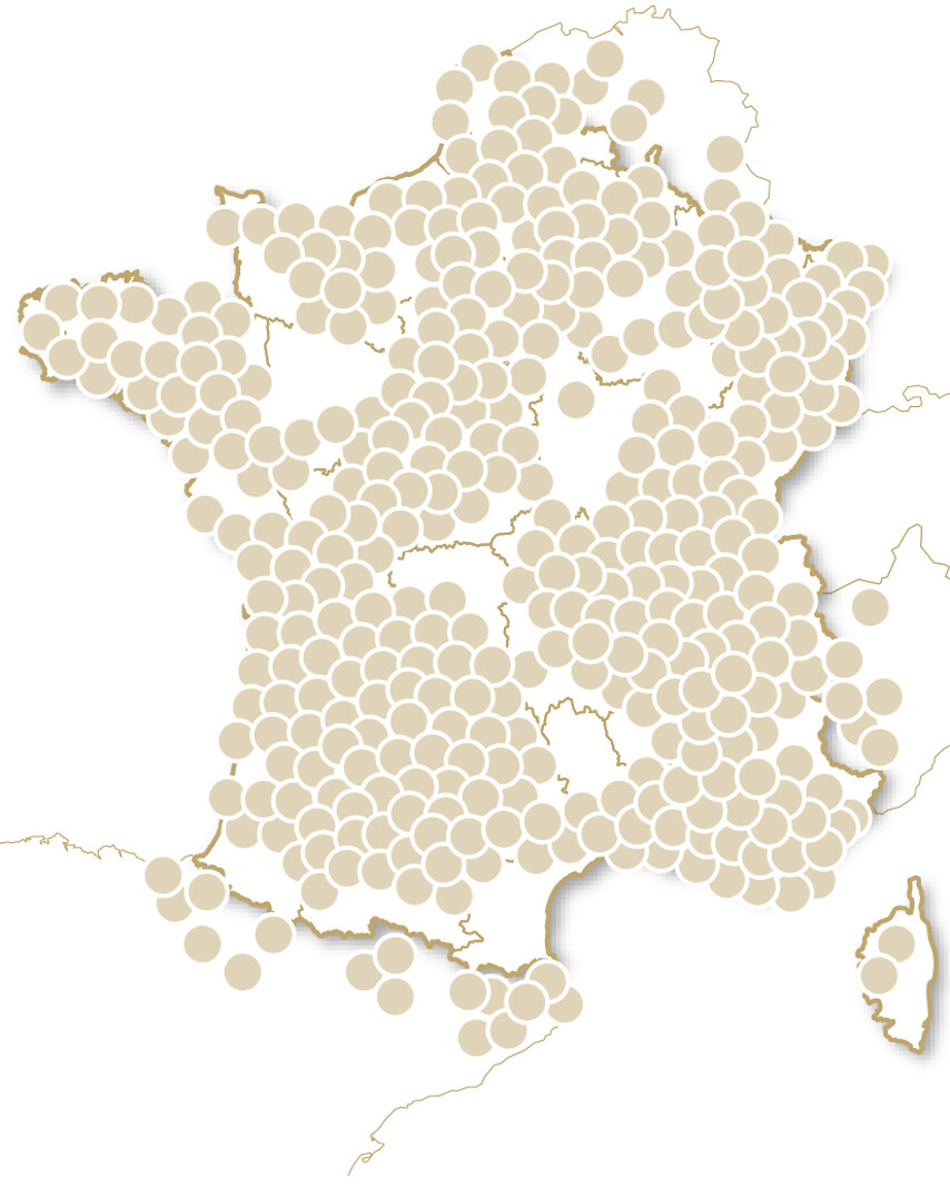 Joyeux Anniversaire Pétillant