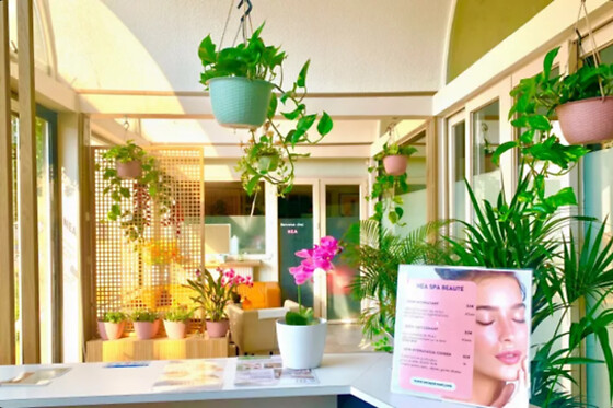 Nea Spa - photo 0