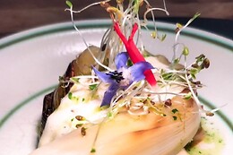 Saucé Restaurant