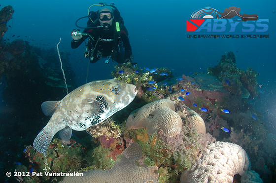 Abyss Underwater World Explorers - photo 1