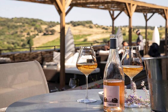 Domaine Riberach - photo 8