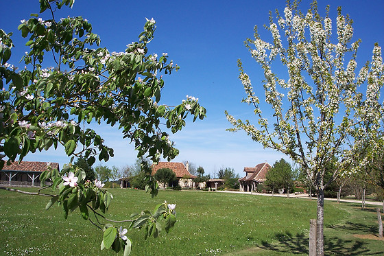 Domaine de la mouthe - photo 7